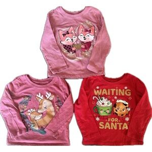 The Children’s Place 2T Long Sleeve Tee Shirt Lot EUC Waiting for Santa, Winter